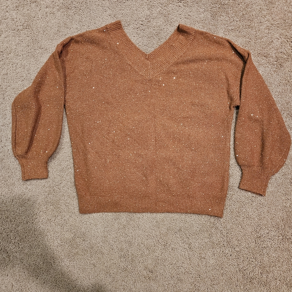 NWT Women's v-neck sweater with sequence